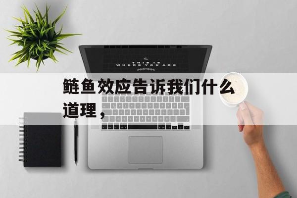 鲢鱼效应告诉我们什么道理，-第1张图片-