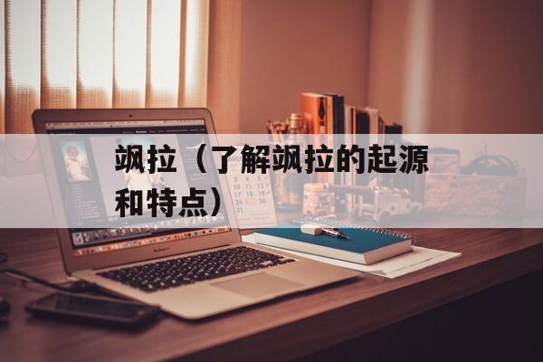 飒拉（了解飒拉的起源和特点）-第1张图片-