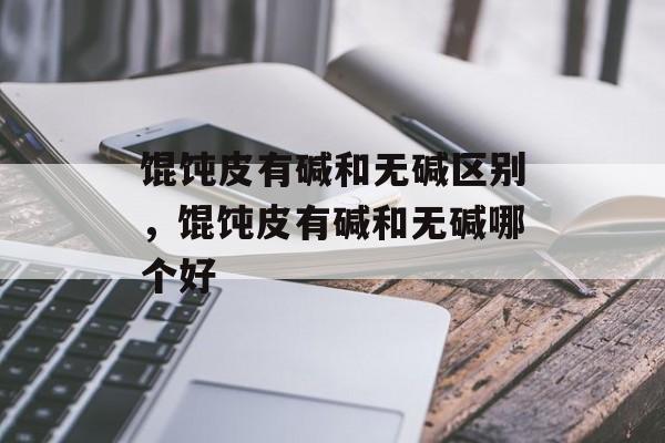 馄饨皮有碱和无碱区别，馄饨皮有碱和无碱哪个好-第1张图片-
