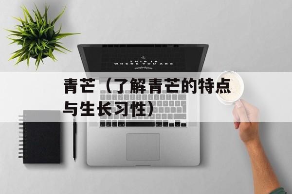 青芒（了解青芒的特点与生长习性）-第1张图片-