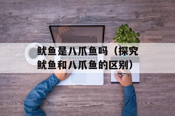 鱿鱼是八爪鱼吗（探究鱿鱼和八爪鱼的区别）-第1张图片-