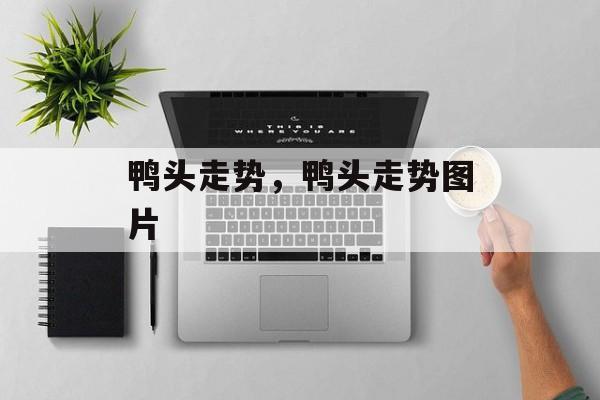 鸭头走势，鸭头走势图片-第1张图片-
