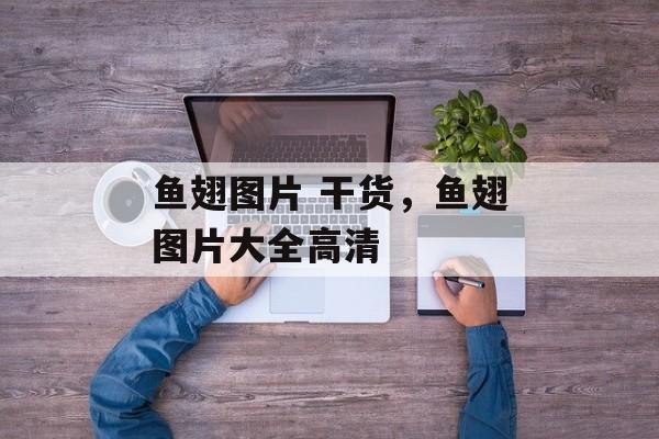 鱼翅图片 干货，鱼翅图片大全高清-第1张图片-