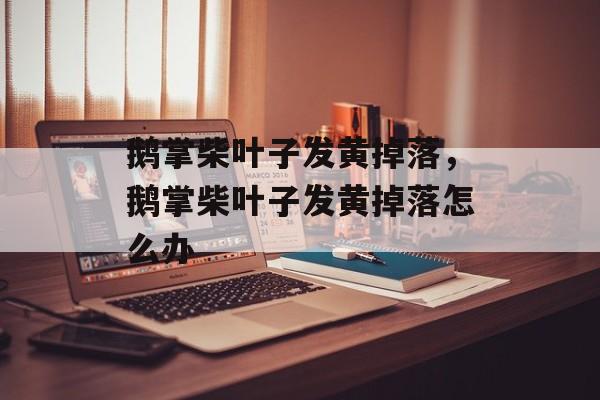 鹅掌柴叶子发黄掉落，鹅掌柴叶子发黄掉落怎么办-第1张图片-