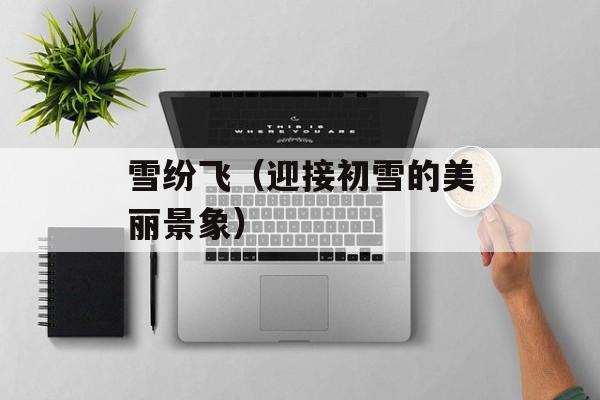 雪纷飞（迎接初雪的美丽景象）-第1张图片-