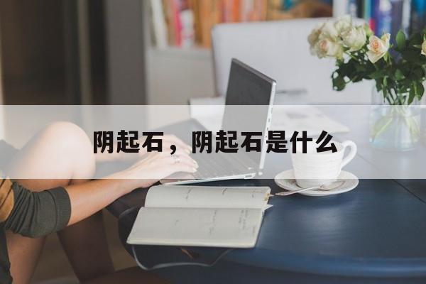 阴起石，阴起石是什么-第1张图片-