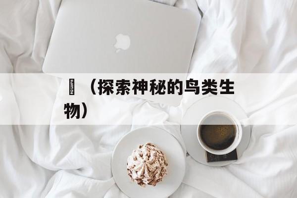 鸮（探索神秘的鸟类生物）-第1张图片-