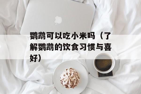 鹦鹉可以吃小米吗（了解鹦鹉的饮食习惯与喜好）-第1张图片-