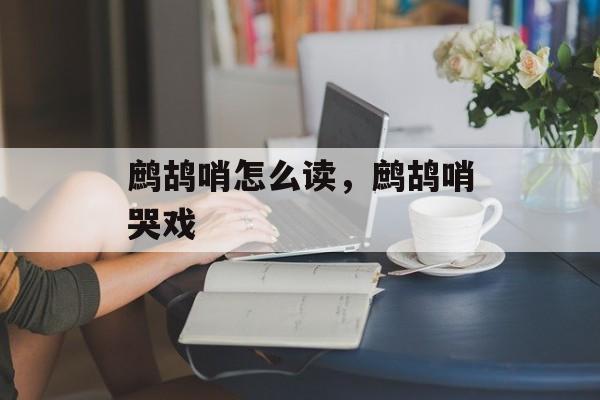 鹧鸪哨怎么读，鹧鸪哨哭戏-第1张图片-