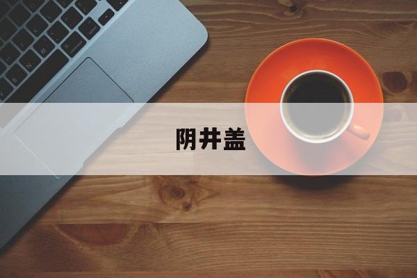 阴井盖-第1张图片-