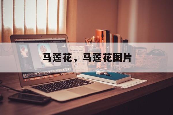 马莲花，马莲花图片-第1张图片-