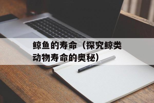 鲸鱼的寿命（探究鲸类动物寿命的奥秘）-第1张图片-