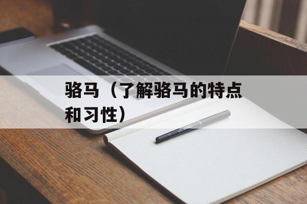 骆马（了解骆马的特点和习性）-第1张图片-