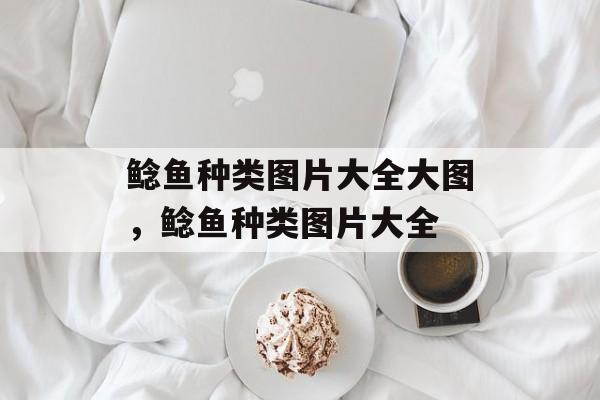 鲶鱼种类图片大全大图，鲶鱼种类图片大全-第1张图片-
