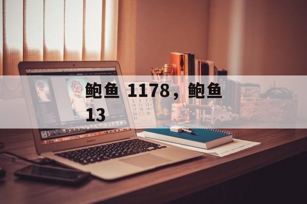 鲍鱼 1178，鲍鱼13-第1张图片-