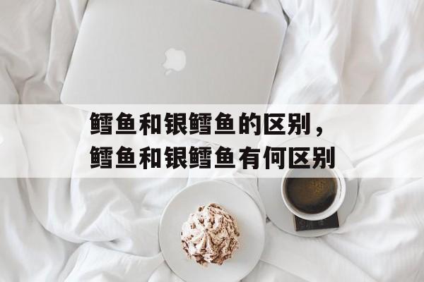 鳕鱼和银鳕鱼的区别，鳕鱼和银鳕鱼有何区别-第1张图片-