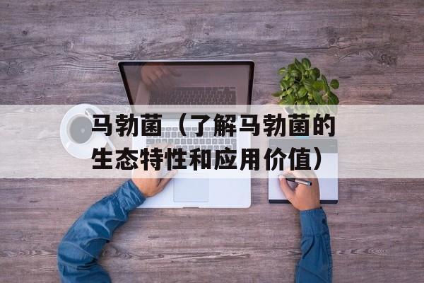 马勃菌（了解马勃菌的生态特性和应用价值）-第1张图片-
