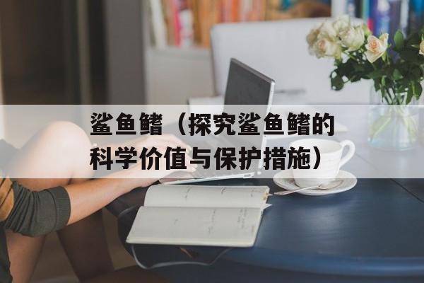 鲨鱼鳍（探究鲨鱼鳍的科学价值与保护措施）-第1张图片-