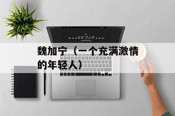 魏加宁（一个充满激情的年轻人）-第1张图片-