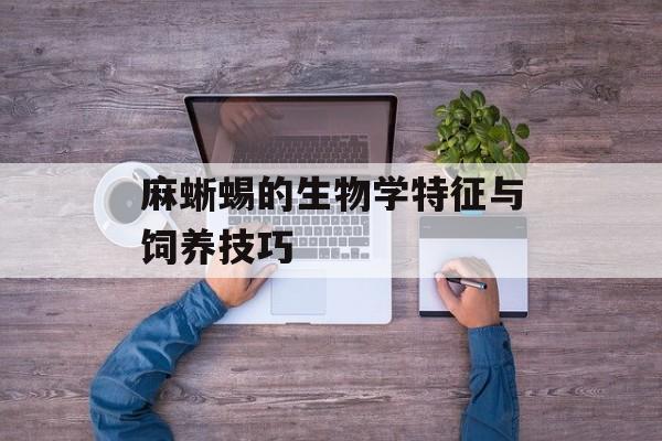 麻蜥蜴的生物学特征与饲养技巧-第1张图片-