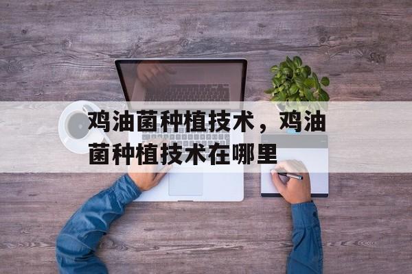 鸡油菌种植技术，鸡油菌种植技术在哪里-第1张图片-