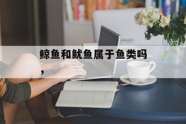 鲸鱼和鱿鱼属于鱼类吗，-第1张图片-