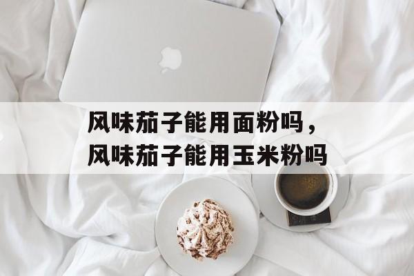 风味茄子能用面粉吗，风味茄子能用玉米粉吗-第1张图片-