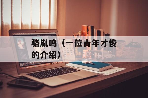 骆胤鸣（一位青年才俊的介绍）-第1张图片-