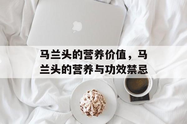 马兰头的营养价值，马兰头的营养与功效禁忌-第1张图片-
