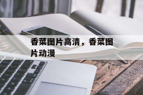 香菜图片高清，香菜图片动漫-第1张图片-
