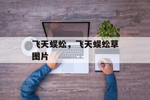 飞天蜈蚣，飞天蜈蚣草图片-第1张图片-