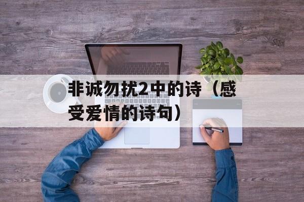 非诚勿扰2中的诗（感受爱情的诗句）-第1张图片-