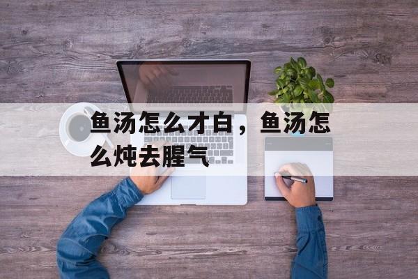 鱼汤怎么才白，鱼汤怎么炖去腥气-第1张图片-