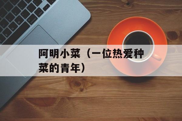 阿明小菜（一位热爱种菜的青年）-第1张图片-