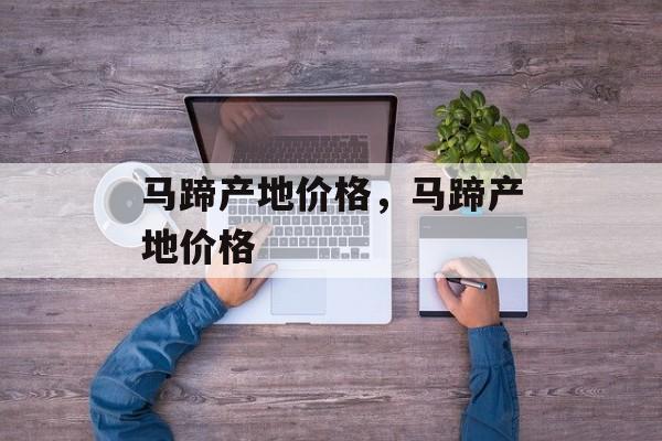 马蹄产地价格，马蹄产地价格-第1张图片-