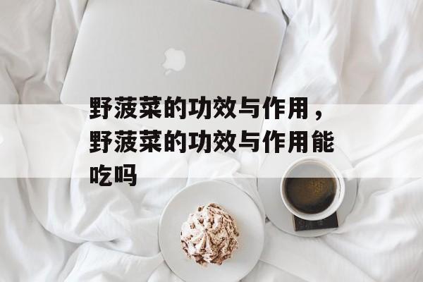 野菠菜的功效与作用，野菠菜的功效与作用能吃吗-第1张图片-