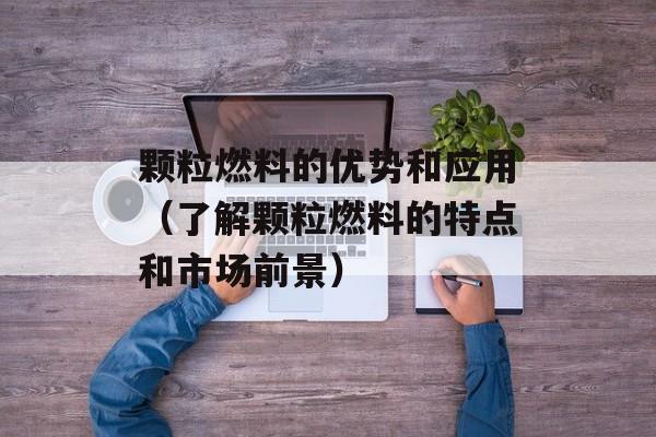 颗粒燃料的优势和应用（了解颗粒燃料的特点和市场前景）-第1张图片-