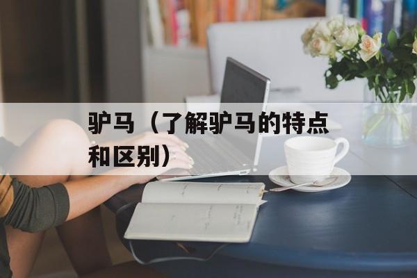 驴马（了解驴马的特点和区别）-第1张图片-
