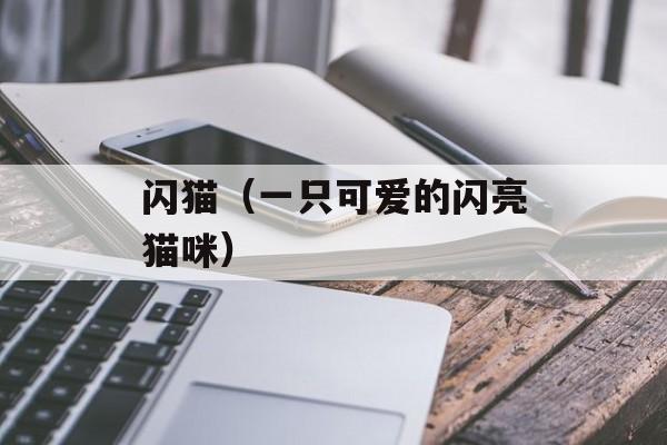 闪猫（一只可爱的闪亮猫咪）-第1张图片-