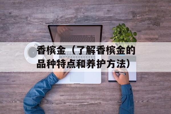 香槟金（了解香槟金的品种特点和养护方法）-第1张图片-