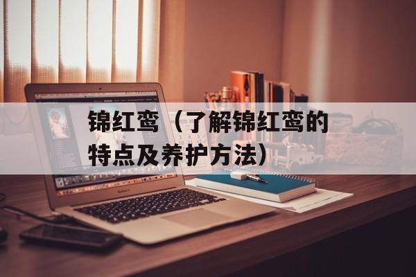 锦红鸾（了解锦红鸾的特点及养护方法）-第1张图片-