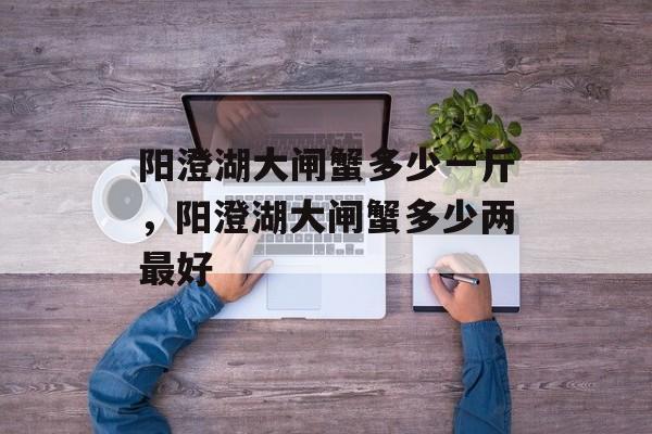 阳澄湖大闸蟹多少一斤，阳澄湖大闸蟹多少两最好-第1张图片-
