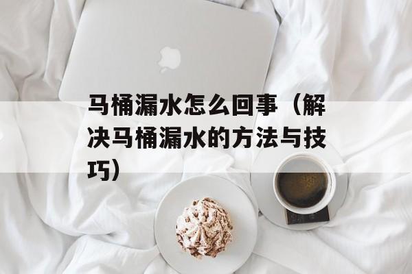 马桶漏水怎么回事（解决马桶漏水的方法与技巧）-第1张图片-