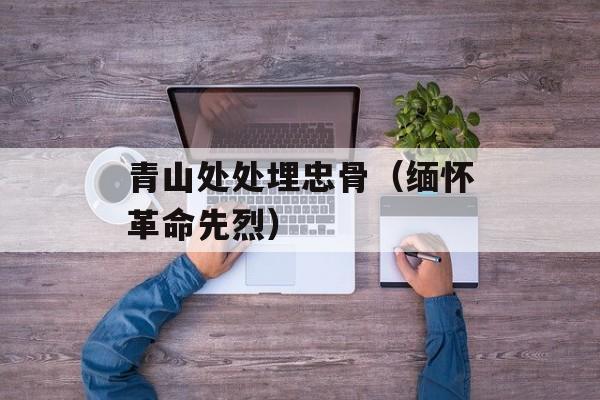 青山处处埋忠骨（缅怀革命先烈）-第1张图片-