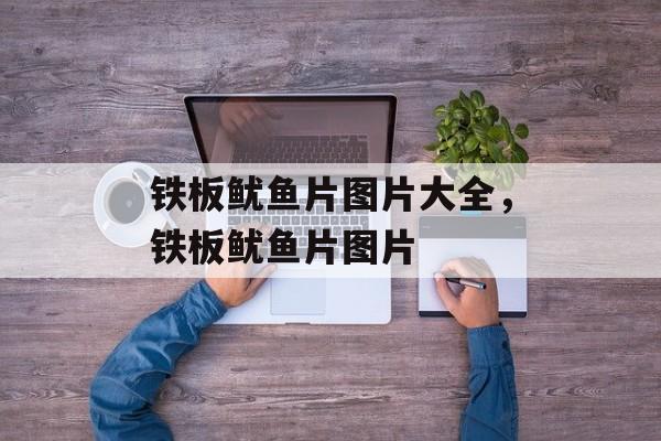 铁板鱿鱼片图片大全，铁板鱿鱼片图片-第1张图片-