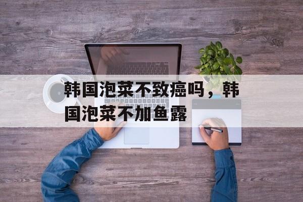 韩国泡菜不致癌吗，韩国泡菜不加鱼露-第1张图片-