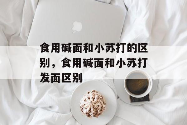 食用碱面和小苏打的区别，食用碱面和小苏打发面区别-第1张图片-