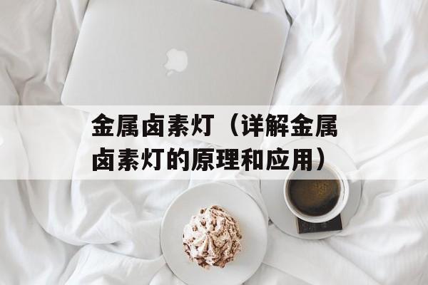 金属卤素灯（详解金属卤素灯的原理和应用）-第1张图片-