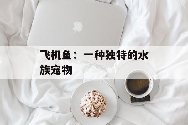 飞机鱼：一种独特的水族宠物-第1张图片-