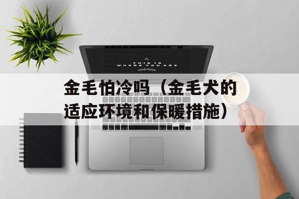 金毛怕冷吗（金毛犬的适应环境和保暖措施）-第1张图片-